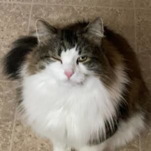 Meet your Posher, Kendra